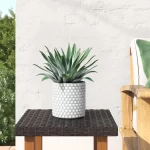 Folsom Ceramic Pot Planter