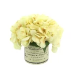 Hydrangea Floral Arrangement in French Labeled Pot